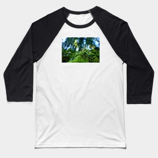 Jungle Switzerland Jura / Swiss Artwork Photography Baseball T-Shirt